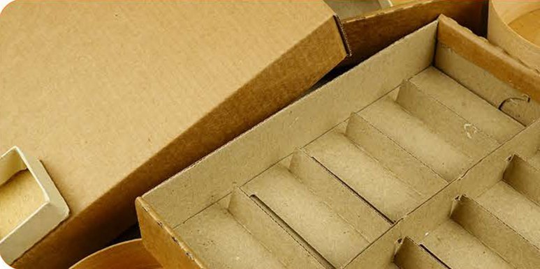 Kraft folding carton with dividers